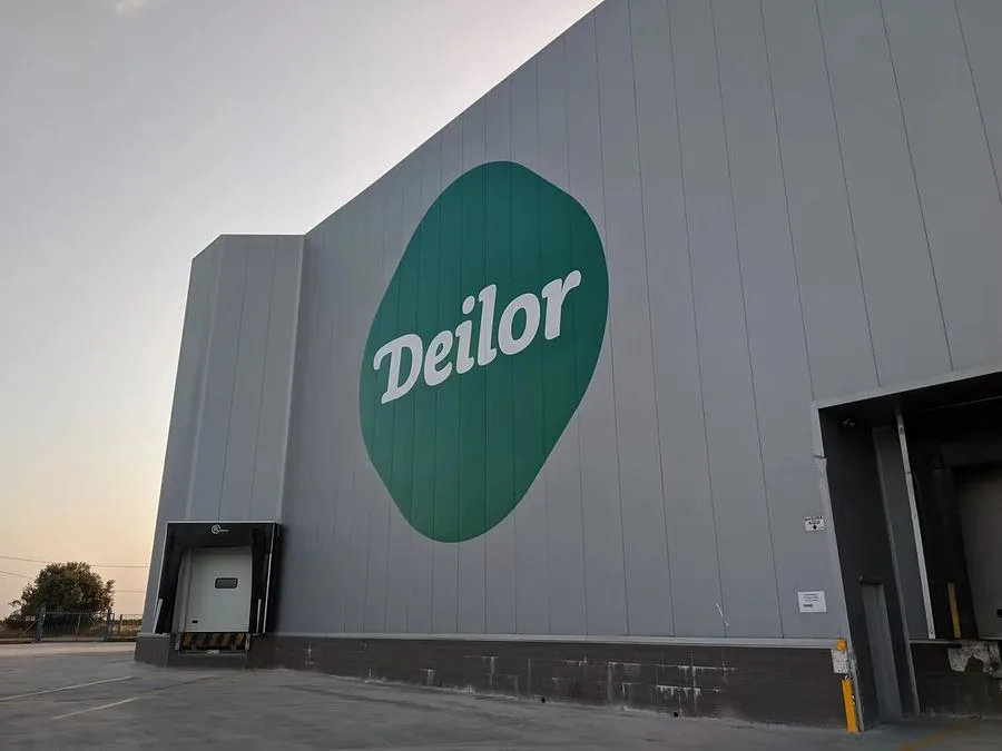 Deilor nave
