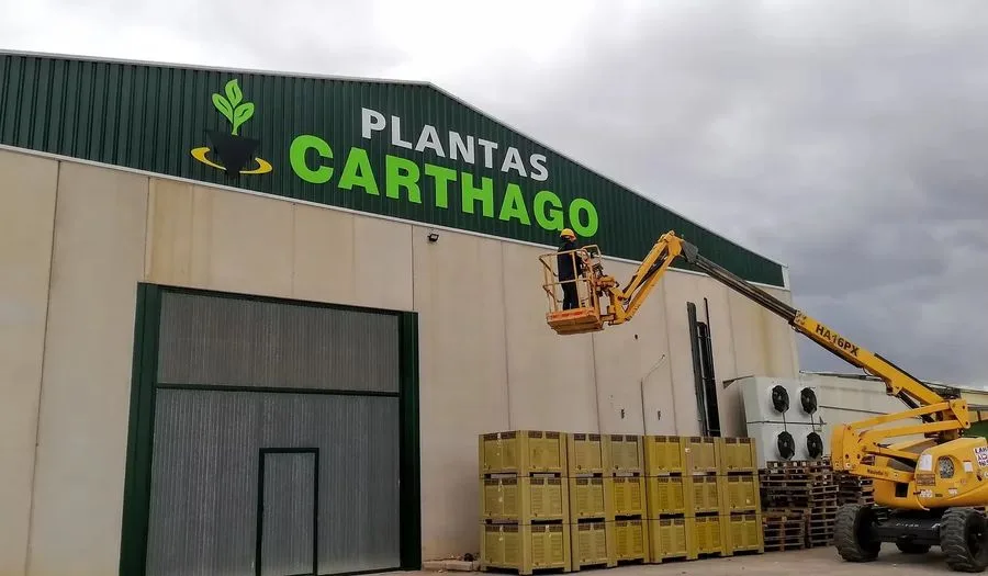 Plantas Carthago